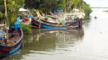 ভরা মৌসুমেও ইলিশের আকাল: উপকূলীয় বাগেরহাটে চরম সংকটে মৎস্য খাত
