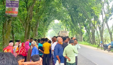 বীরগঞ্জে পিকআপের ধাক্কায় নিহত মা-ছেলে, আহত বাবা
