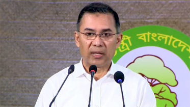 সরকারি হিসাবে ৭ লাখ দেখালেও গাছ লাগানো হয়েছে ২ লাখ: প্রধানমন্ত্রী