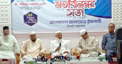 বেনজীরকে আটক সরকারের কৃতিত্ব নয়, ইন্টারপোলের: জামায়াত আমির