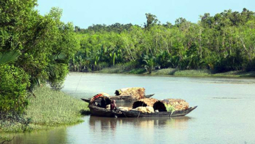 বিষ, প্লাস্টিক ও শিল্পবর্জ্যের আগ্রাসনে অস্তিত্ব সংকটে সুন্দরবন: বিপন্ন জীববৈচিত্র্য
