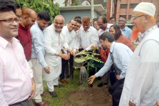 জিয়ার স্মরণে সবুজায়নে শেকৃবি, শুরু মাসব্যাপী বৃক্ষরোপণ কর্মসূচি