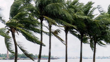 দুপুরের মধ্যে ঢাকাসহ ১৫ জেলায় ঝড়বৃষ্টির আভাস দুপুরের মধ্যে ঢাকাসহ ১৫ জেলায় ঝড়বৃষ্টির আভাস