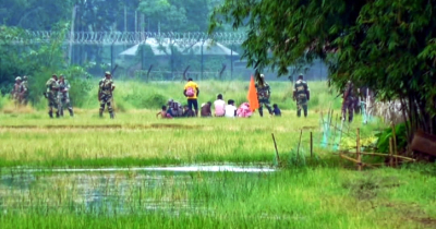 পঞ্চগড় সীমান্তে ১০ জনকে পুশইনের চেষ্টা, ব্যর্থ বিএসএফ