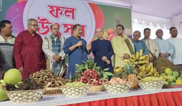 ফল উৎসবের সংস্কৃতি তৃণমূল পর্যায়ে ছড়িয়ে দেওয়ার আহ্বান তথ্যমন্ত্রীর ফল উৎসবের সংস্কৃতি তৃণমূল পর্যায়ে ছড়িয়ে দেওয়ার আহ্বান তথ্যমন্ত্রীর