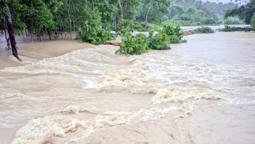উত্তরের চার জেলায় বন্যার আভাস উত্তরের চার জেলায় বন্যার আভাস