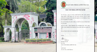 ইবিতে শিক্ষিকা হত্যাকাণ্ডে পাবলিক বিশ্ববিদ্যালয় প্রগতিশীল শিক্ষক