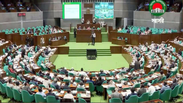 ১৩৩ অধ্যাদেশ পাঠানো হয়েছে সংসদের বিশেষ কমিটিতে ১৩৩ অধ্যাদেশ পাঠানো হয়েছে সংসদের বিশেষ কমিটিতে