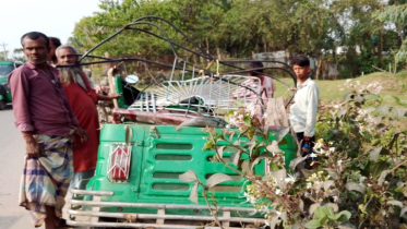 টাঙ্গাইলে বাস-সিএনজি সংঘর্ষে ৩ জন নিহত