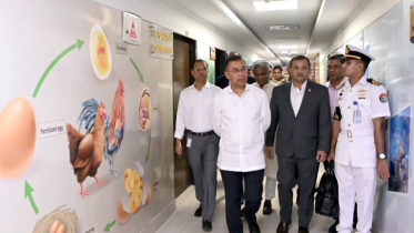 বিভিন্ন মন্ত্রণালয়ে আকস্মিক পরিদর্শন প্রধানমন্ত্রীর বিভিন্ন মন্ত্রণালয়ে আকস্মিক পরিদর্শন প্রধানমন্ত্রীর