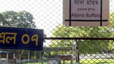 আলোড়ন সৃষ্টিকারী ‘ডোনাল্ড ট্রাম্প’-এর বানান ভুল লিখে এবার ভাইরাল চিড়িয়াখানা কর্তৃপক্ষ