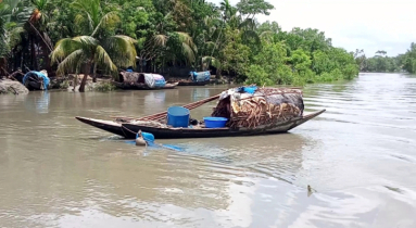 সুন্দরবনে তিন মাসের নিষেধাজ্ঞা: প্রজনন সুরক্ষায় কড়াকড়ি, সংকটে কর্মহীন বনজীবীরা