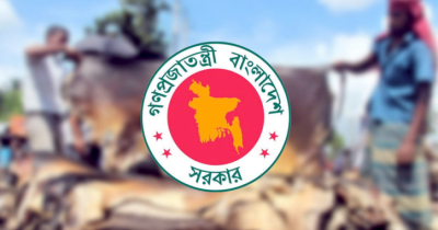 কোরবানি পশুর চামড়ার দাম নির্ধারণ করলো সরকার
