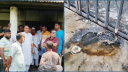 রাজবাড়ী জেলা বিএনপি কার্যালয়ে দুর্বৃত্তদের অগ্নিসংযোগ রাজবাড়ী জেলা বিএনপি কার্যালয়ে দুর্বৃত্তদের অগ্নিসংযোগ