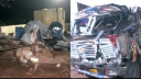 ভারতে মন্দিরের কাছে ট্রাকচাপায় নিহত ১২ ভারতে মন্দিরের কাছে ট্রাকচাপায় নিহত ১২
