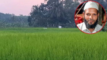পিরোজপুরে জামায়াত নেতার বিরুদ্ধে মন্দিরের ৪২ শতক জমি দখলের অভিযোগ পিরোজপুরে জামায়াত নেতার বিরুদ্ধে মন্দিরের ৪২ শতক জমি দখলের অভিযোগ