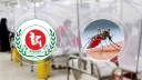 ডেঙ্গুতে আরও ৬ মৃত্যু, হাসপাতালে ১,৫৬১ ডেঙ্গুতে আরও ৬ মৃত্যু, হাসপাতালে ১,৫৬১