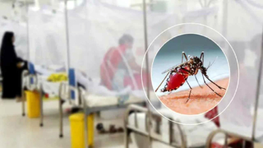 ডেঙ্গুর থাবায় আরও ৪ জনের মৃত্যু
