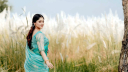 কাশফুলের কোমল স্পর্শে পূজা চেরী কাশফুলের কোমল স্পর্শে পূজা চেরী