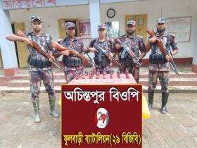 অচিন্তপুর ও বিরামপুরে বিজিবির পৃথক অভিযান, বিপুল মাদক জব্দ