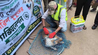 বাগেরহাটে কুকুরের জলাতঙ্ক টিকাদান কর্মসূচি শুরু বাগেরহাটে কুকুরের জলাতঙ্ক টিকাদান কর্মসূচি শুরু