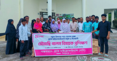 দিনাজপুরে ব্র্যাক ও বিসিকের যৌথ উদ্যোগে মৌচাষ প্রশিক্ষণ দিনাজপুরে ব্র্যাক ও বিসিকের যৌথ উদ্যোগে মৌচাষ প্রশিক্ষণ