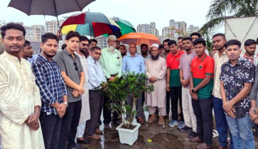 বিএনপির প্রতিষ্ঠাবার্ষিকীতে ডিআইইউ ছাত্রদলের বৃক্ষরোপণ কর্মসূচি বিএনপির প্রতিষ্ঠাবার্ষিকীতে ডিআইইউ ছাত্রদলের বৃক্ষরোপণ কর্মসূচি