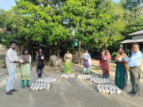 মাশরুম চাষে স্বাবলম্বী হচ্ছেন দিনাজপুরের আদিবাসী নারীরা মাশরুম চাষে স্বাবলম্বী হচ্ছেন দিনাজপুরের আদিবাসী নারীরা