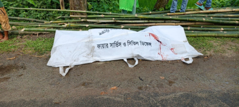 বোদায় তেলবাহী ট্রাকের চাপায় ইজিবাইক চালক নিহত, আহত ৩ বোদায় তেলবাহী ট্রাকের চাপায় ইজিবাইক চালক নিহত, আহত ৩