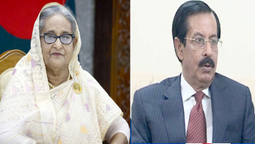 ‘আমার অনুপস্থিতিতে আওয়ামী লীগের সভাপতি শেখ সেলিম’