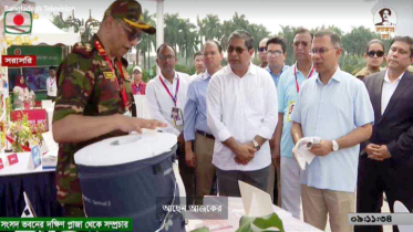 ডেঙ্গু প্রতিরোধ অভিযান উদ্বোধন করলেন প্রধানমন্ত্রী